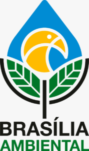 Logo IBRAM