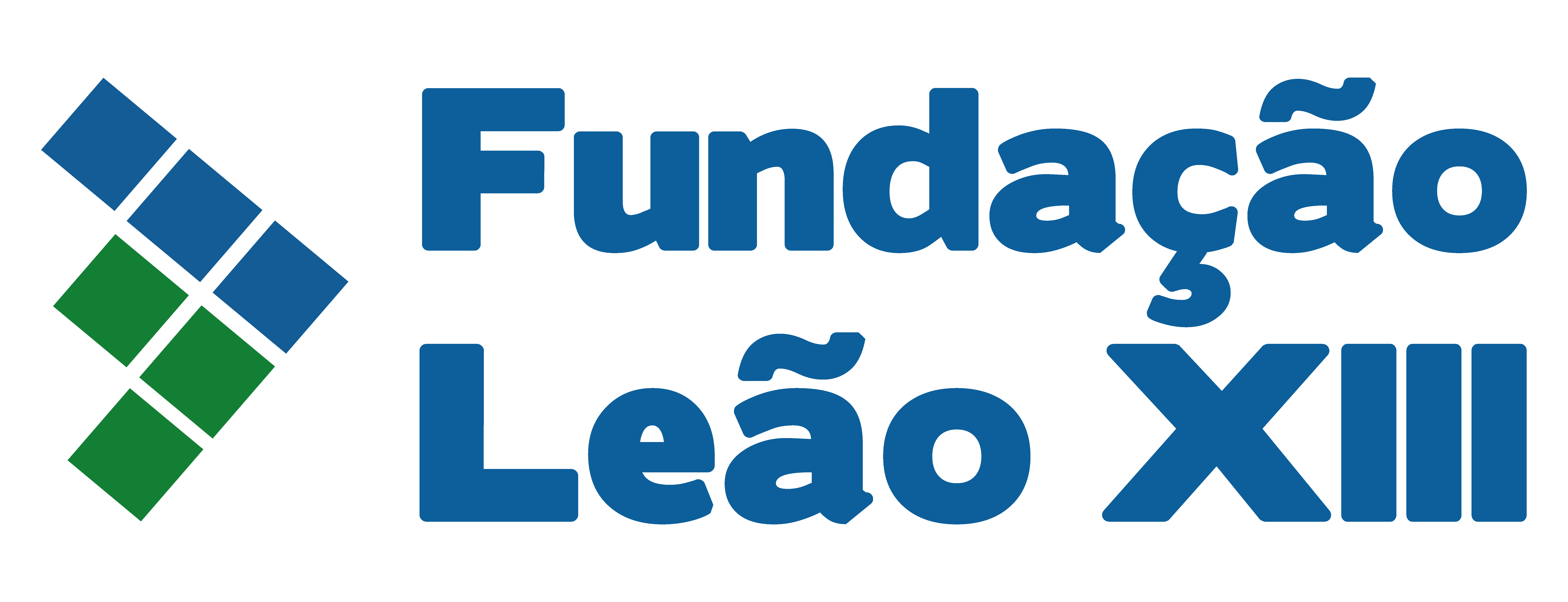 Logo FLXIII